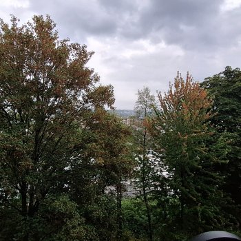 20260818_204740.jpg